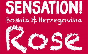 Foto: Communis /  Sensation Bosnia & Herzegovina Rose